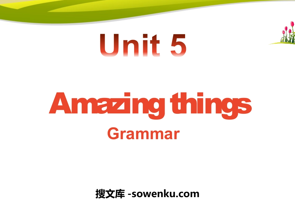 《Amazing things》GrammarPPT_第1页