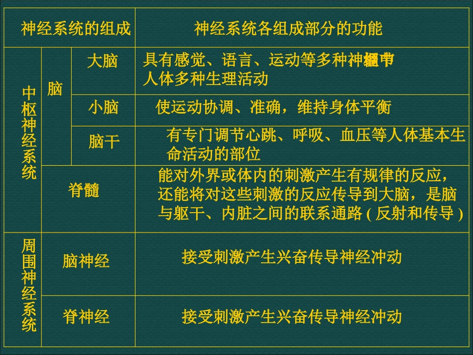 《神经调节》PPT_第2页