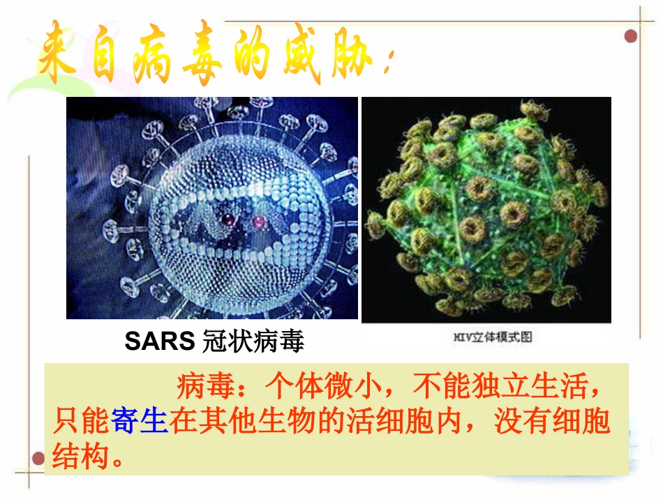 《来自微生物的威胁》PPT_第3页