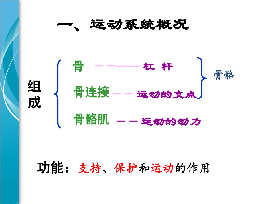 《人的运动系统和保健》PPT_第2页