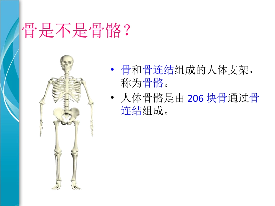 《人的运动系统和保健》PPT_第3页