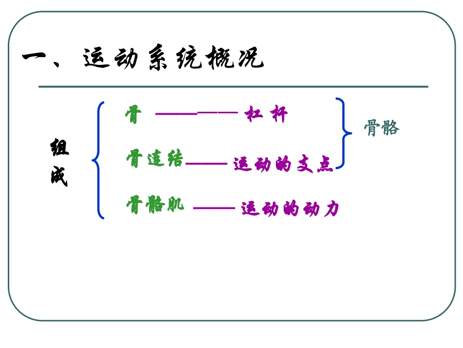 《人的运动系统和保健》PPT课件_第3页