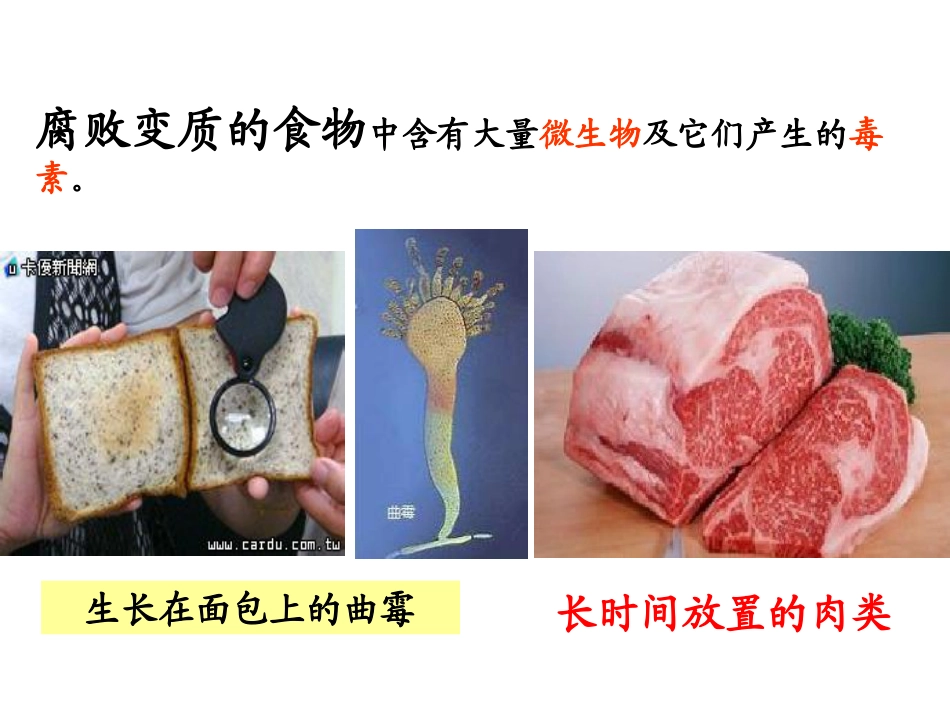 《健康生活》PPT_第2页