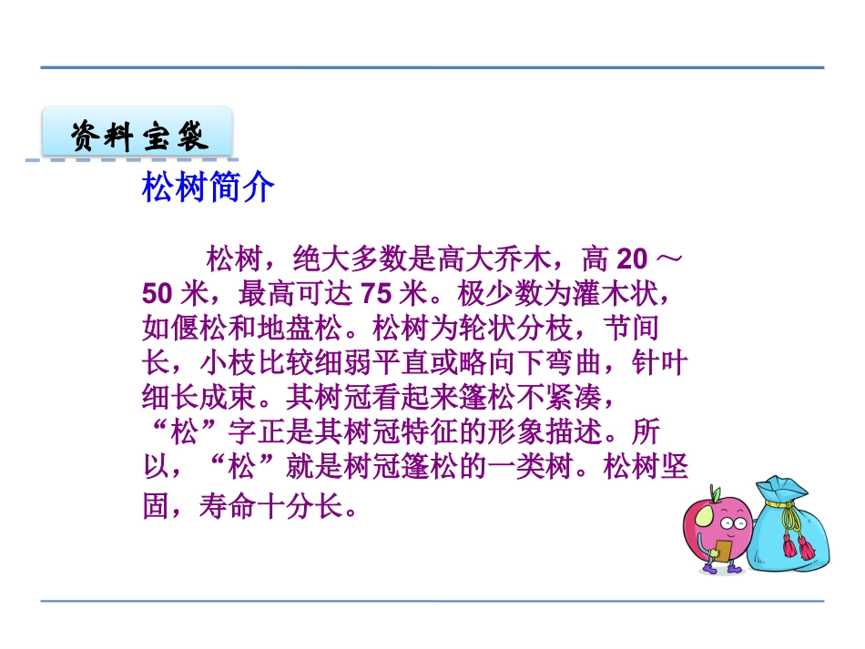 《小松树》PPT_第3页