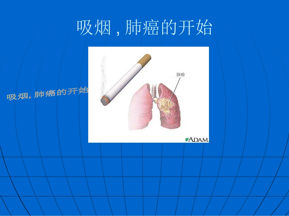 《无烟校园》PPT_第3页