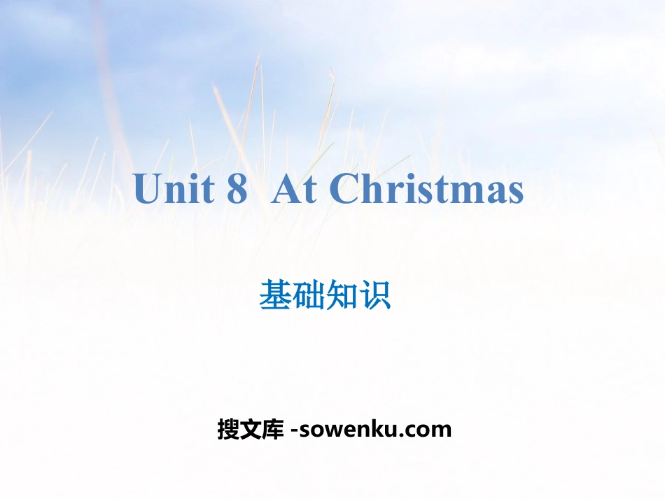 《At Christmas》基础知识PPT_第1页