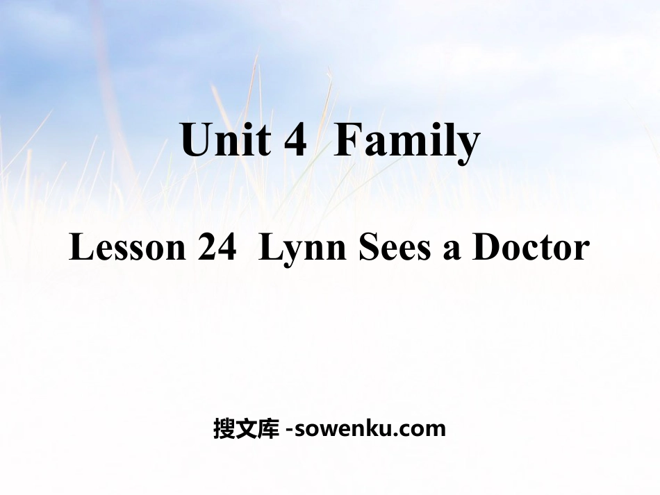 《Lynn Sees a Doctor》Family PPT教学课件_第1页