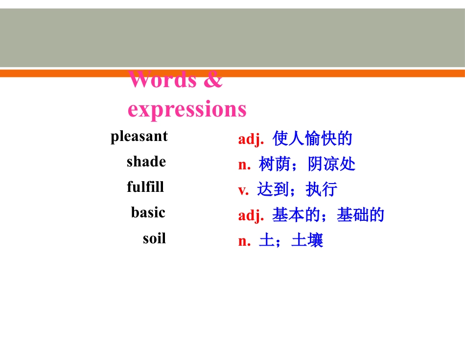 《Why Are Plants Important?》Plant a Plant PPT教学课件_第3页