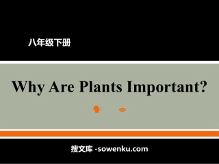 《Why Are Plants Important?》Plant a Plant PPT教学课件