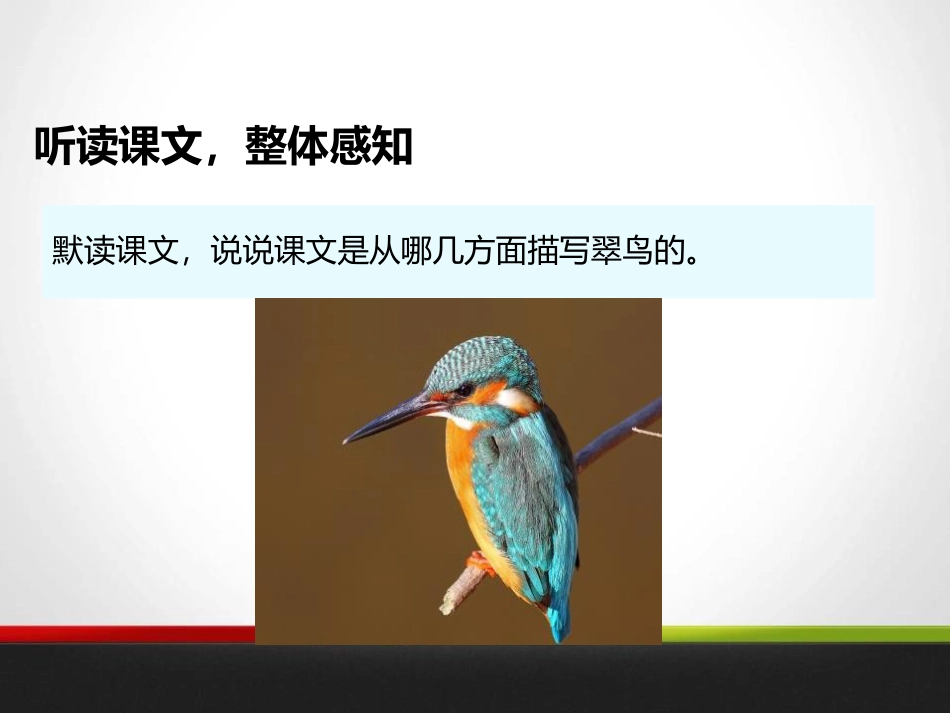 《翠鸟》PPT_第3页