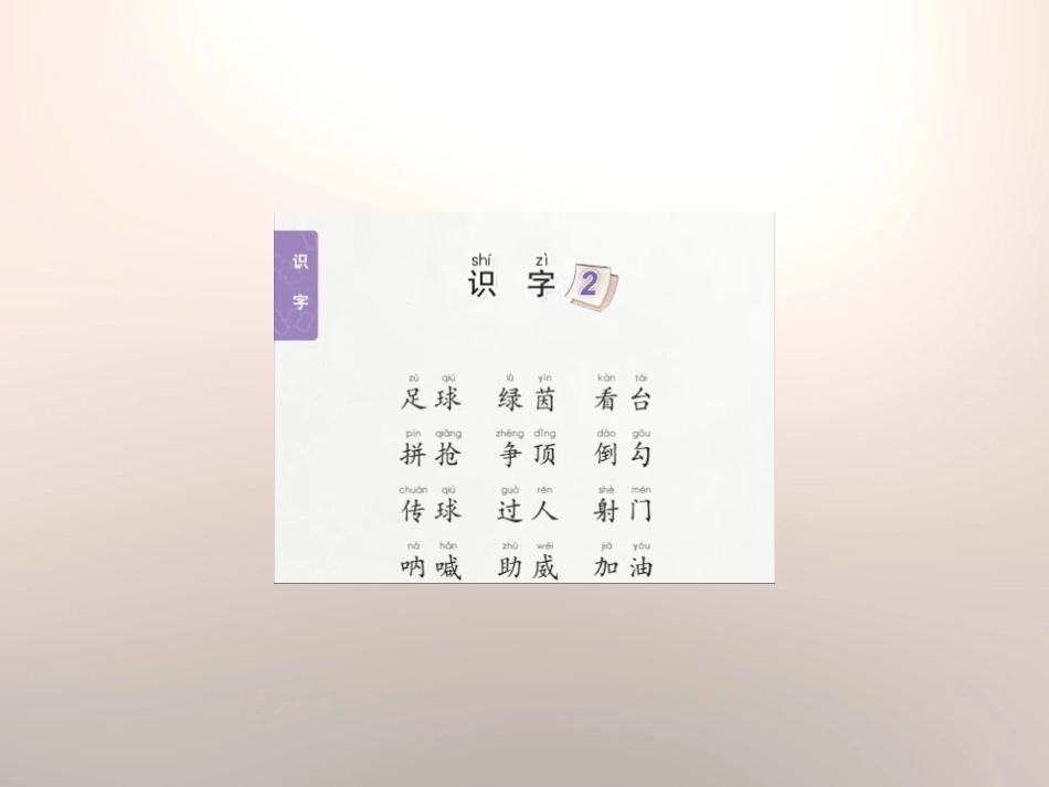 《足球 绿茵 看台》PPT_第3页