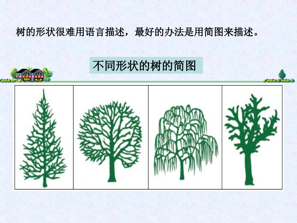 《校园的树木》植物PPT下载_第3页