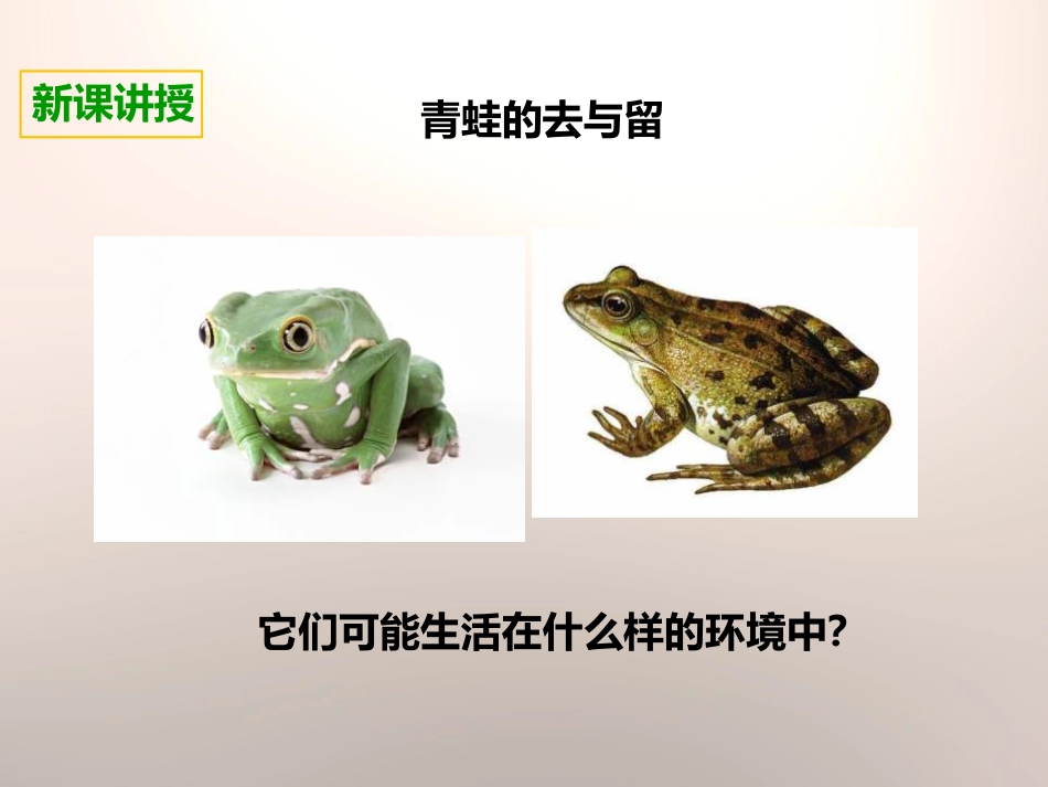 《谁选择了它们》生物的多样性PPT下载_第3页