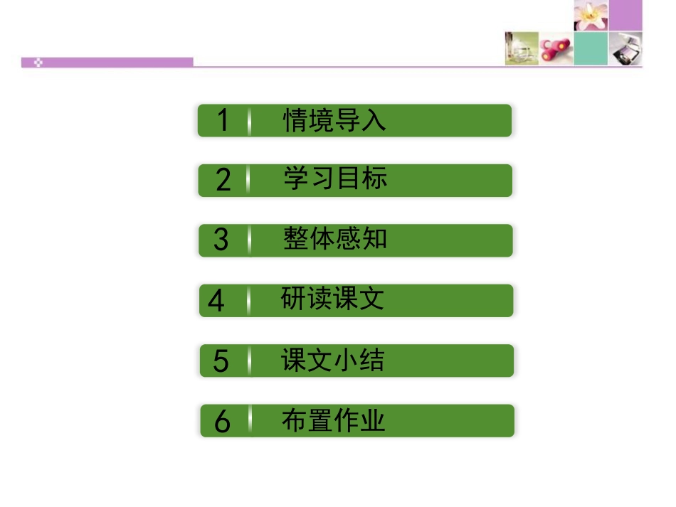 《大堰河——我的保姆》PPT免费下载_第2页