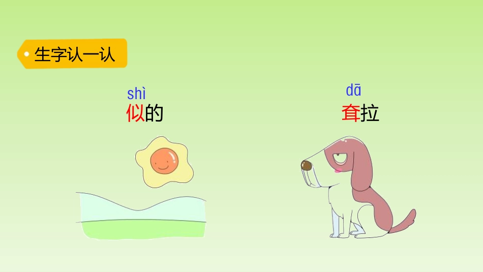 《大象的耳朵》PPT教学课件_第3页