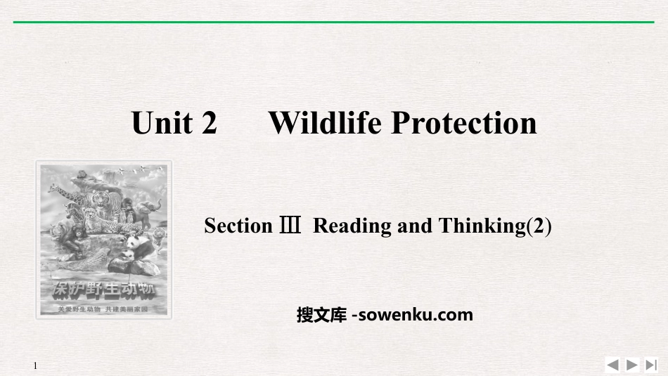 《Wildlife Protection》SectionⅢ PPT课件_第1页