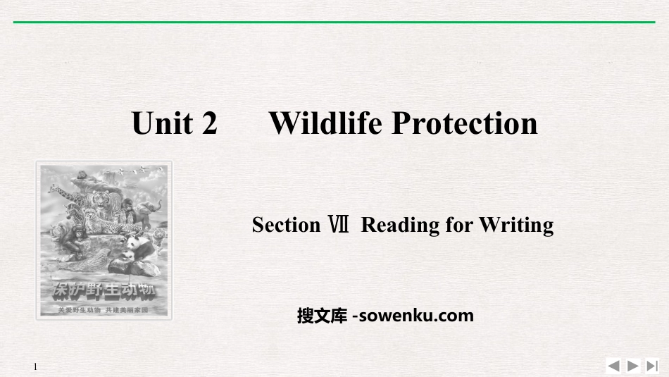 《Wildlife Protection》SectionⅦ PPT课件_第1页