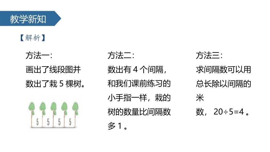 《线段上的植树问题》数学广角PPT_第3页