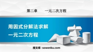 《用因式分解法求解一元二次方程》一元二次方程PPT教学课件