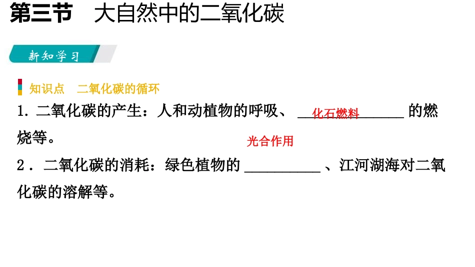 《大自然中的二氧化碳》燃烧与燃料PPT(第1课时)_第3页