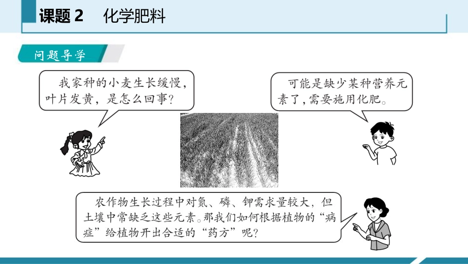 《化学肥料》盐化肥PPT教学课件_第2页