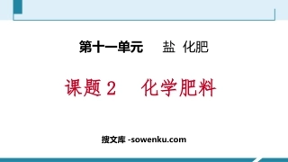 《化学肥料》盐化肥PPT教学课件