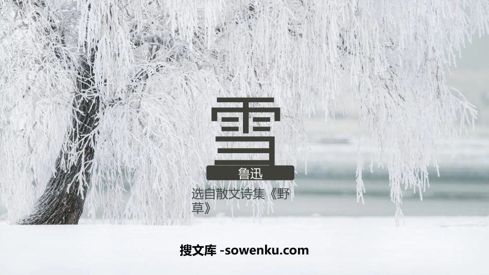 《雪》PPT免费课件_第1页