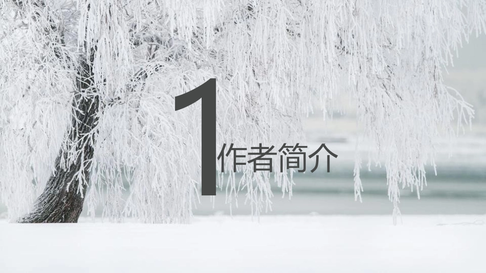 《雪》PPT免费课件_第3页