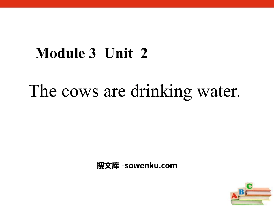 《The cows are drinking water》PPT教学课件_第1页