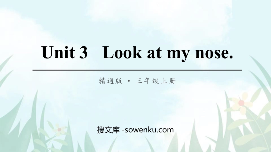 《Look at my nose》PPT教学课件_第1页