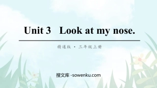 《Look at my nose》PPT教学课件