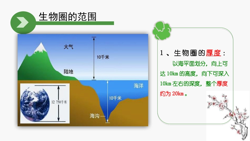 《生物与环境组成生态系统》PPT优质课件_第3页