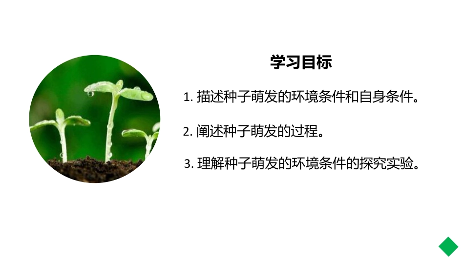 《种子的萌发》PPT教学课件_第2页