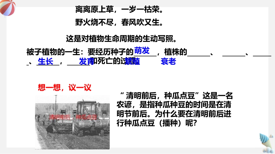 《植物种子的萌发》PPT教学课件_第3页