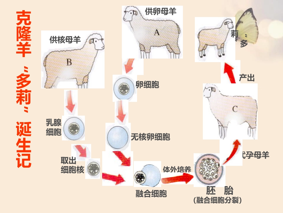 《性状遗传的物质基础》PPT下载_第3页