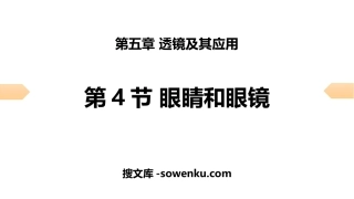 《眼睛和眼镜》透镜及其应用PPT习题课件