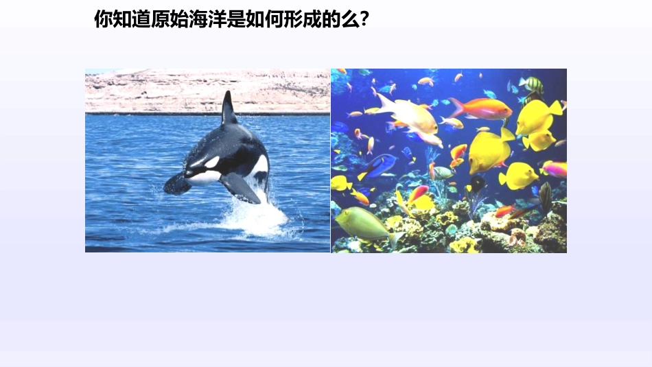 《世界的海洋》PPT教学课件_第2页