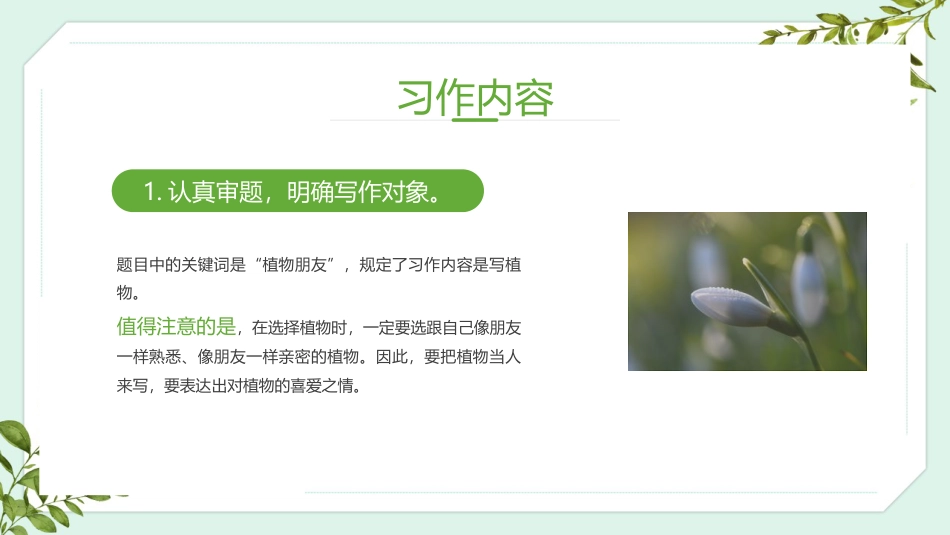 《我的植物朋友》PPT优秀课件下载_第3页