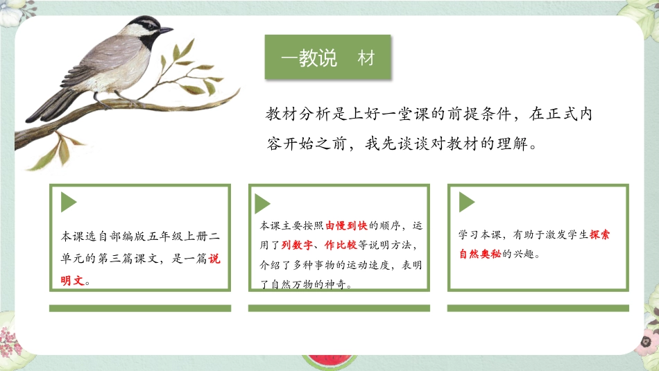 《什么比猎豹的速度更快》PPT免费教学课件_第3页