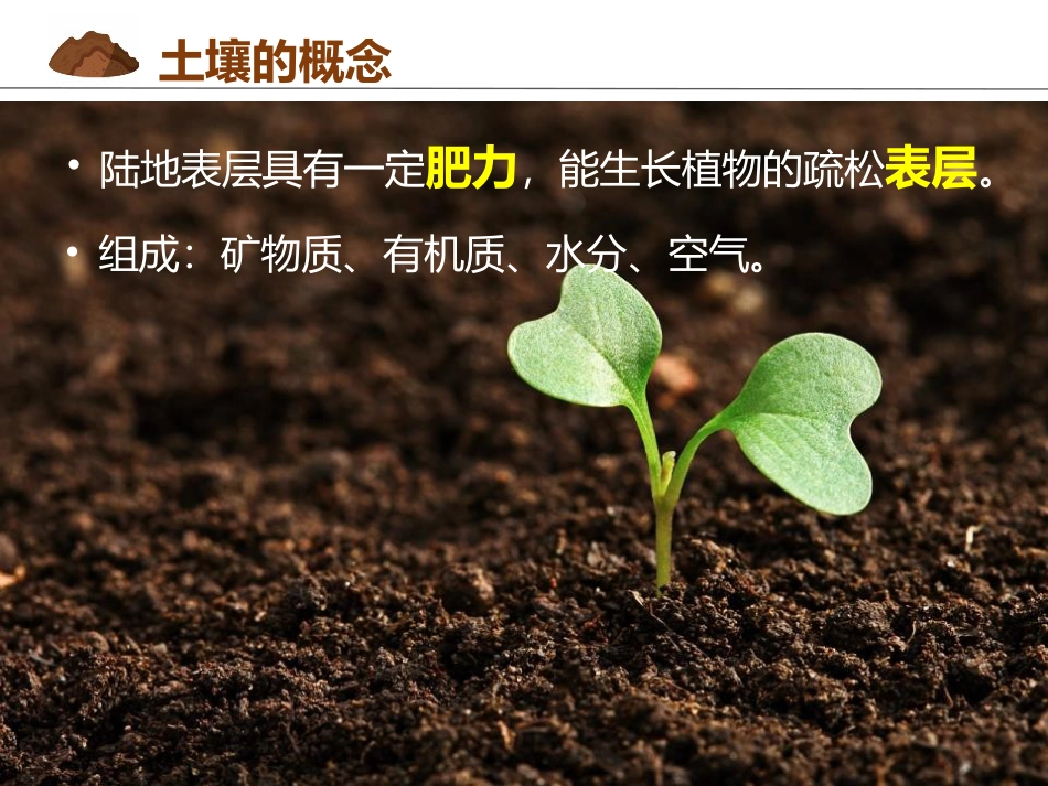 《土壤》植被与土壤PPT教学课件_第2页