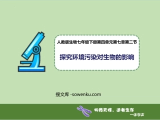 《探究环境污染对生物的影响》PPT教学课件下载