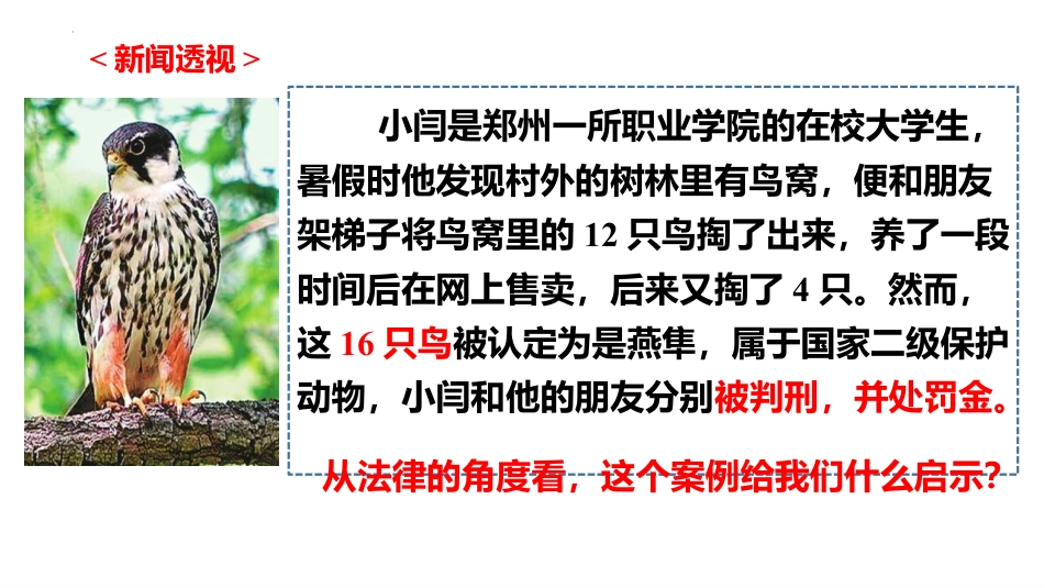 《我们与法律同行》PPT免费优秀课件_第3页