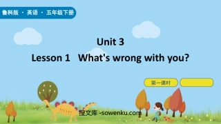 《What's wrong with you?》Health PPT下载(第1课时)