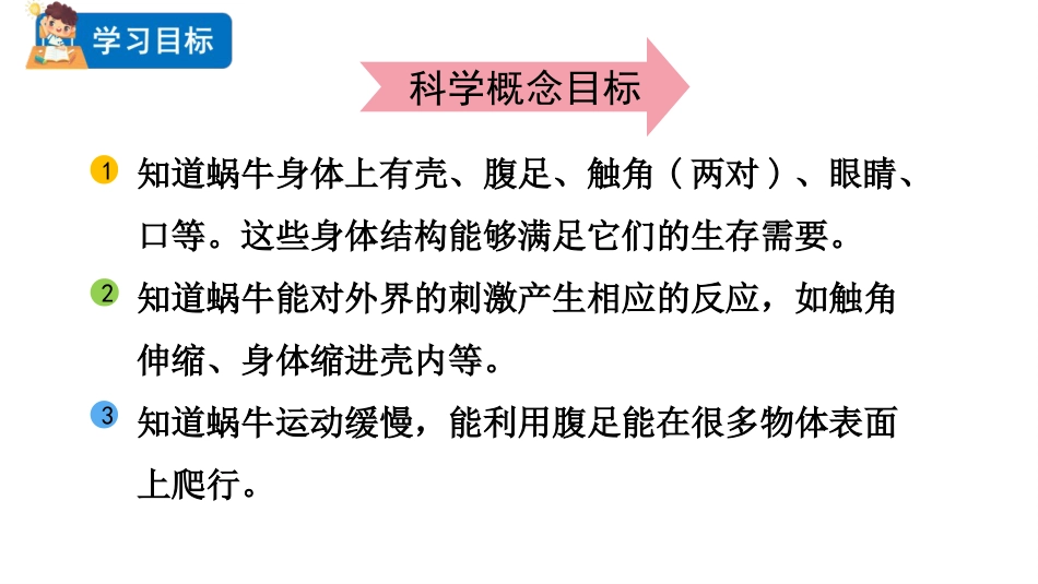 《观察一种动物》PPT优秀课件_第2页