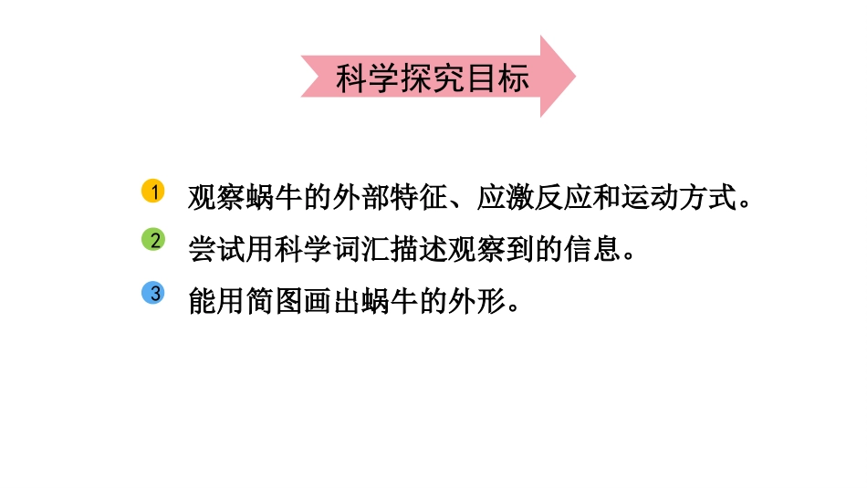 《观察一种动物》PPT优秀课件_第3页