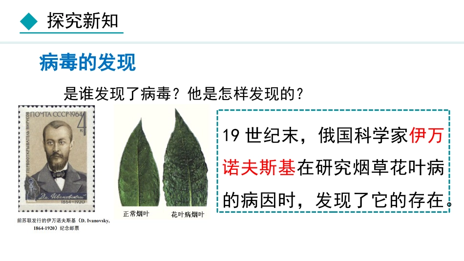 《病毒》PPT免费课件下载_第3页