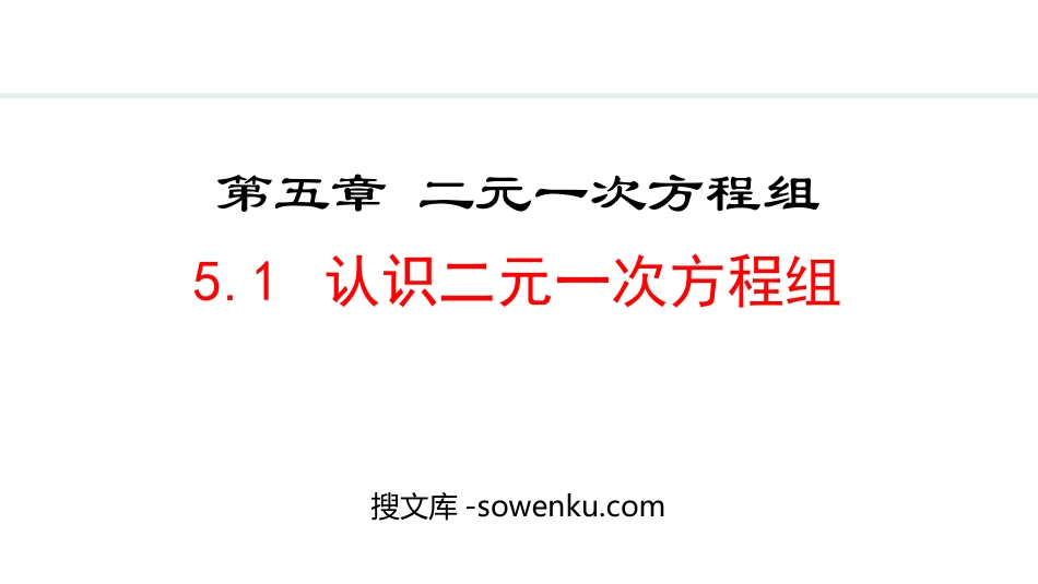 《认识二元一次方程组》二元一次方程组PPT优质课件_第1页