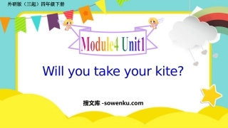 《Will you take your kite?》PPT免费下载