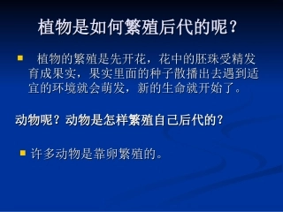 下载第二单元动物的卵ppt课件(四年级科学下册)