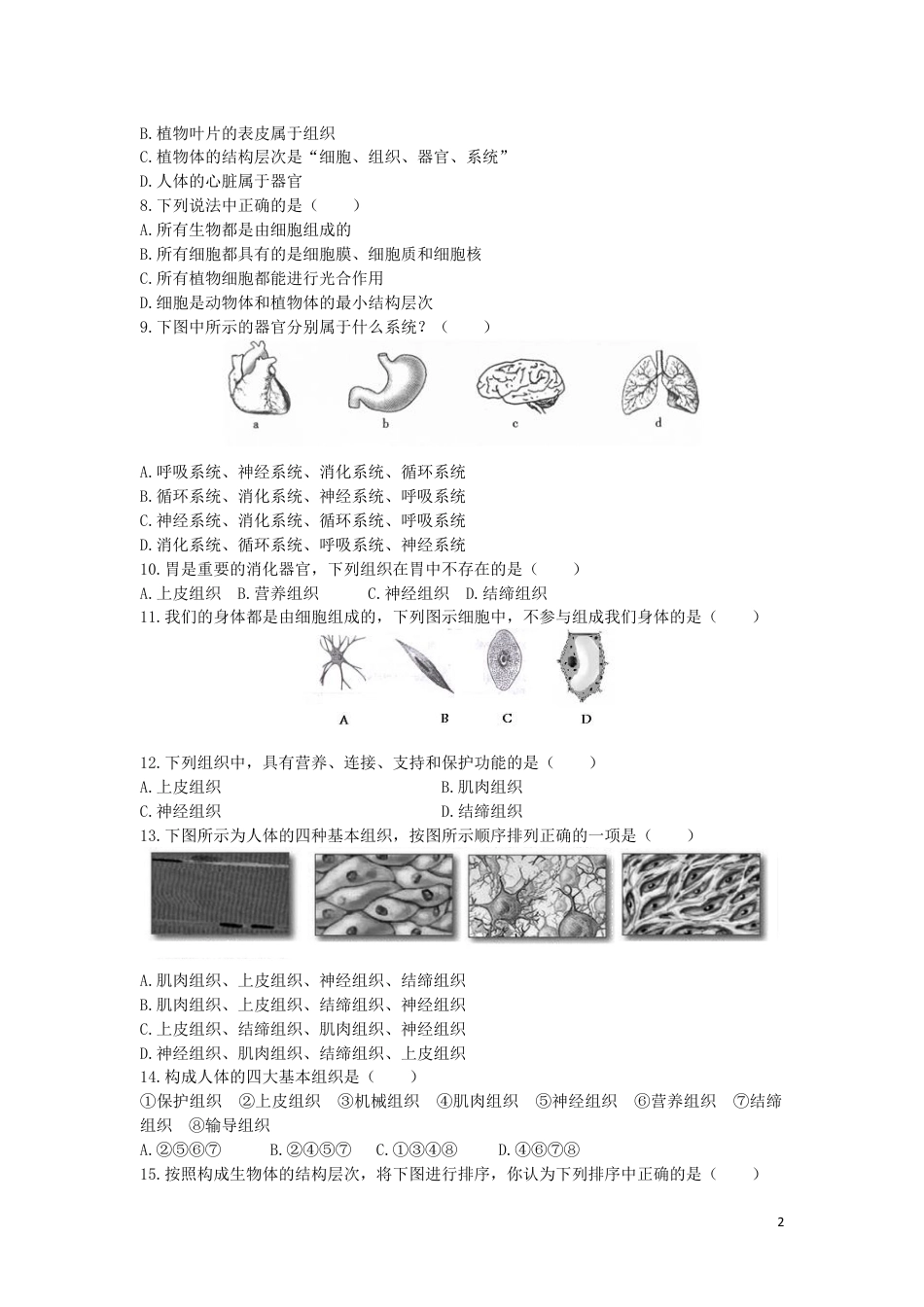 七上生物第二单元:生物体的结构层次单元测试试卷下载_第2页